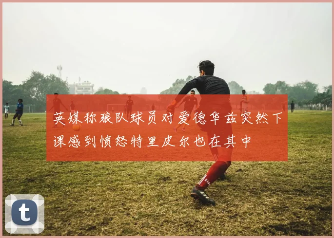 英媒称狼队球员对爱德华兹突然下课感到愤怒特里皮尔也在其中
