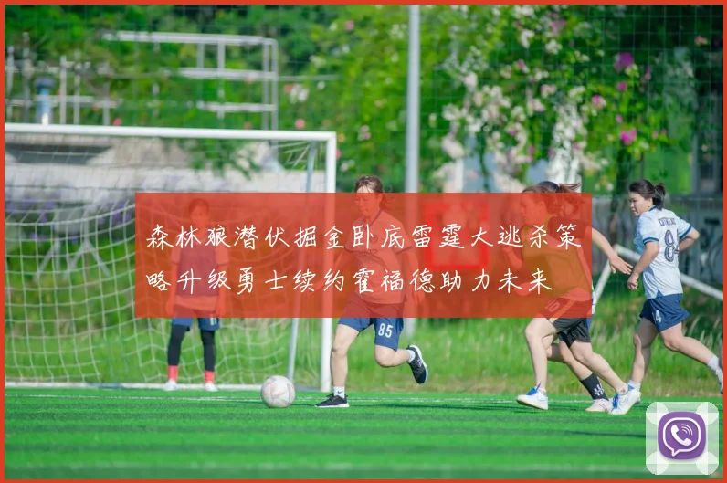 森林狼潜伏掘金卧底雷霆大逃杀策略升级勇士续约霍福德助力未来