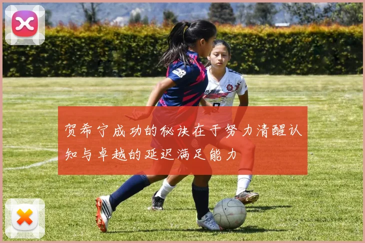 贺希宁成功的秘诀在于努力清醒认知与卓越的延迟满足能力